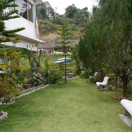Krs Pines Hotel Cameron Highlands Exteriör bild