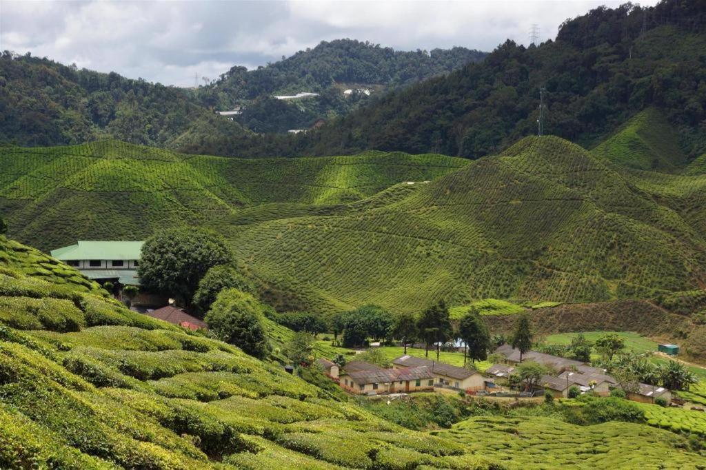 Krs Pines Hotel Cameron Highlands Exteriör bild
