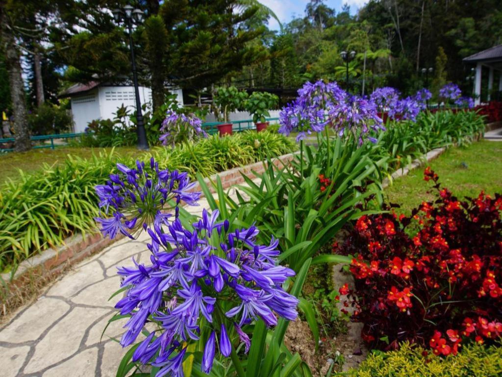 Krs Pines Hotel Cameron Highlands Exteriör bild